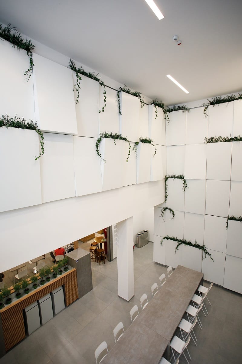 rastliny do steny