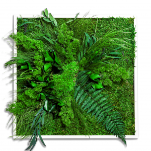 Machový obraz GREENIN Leafy_mach a rastliny_Naturaldesign.sk