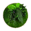 Machový obraz GREENIN Leafy_Naturaldesign.sk