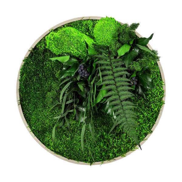 Machový obraz GREENIN Leafy_Naturaldesign.sk